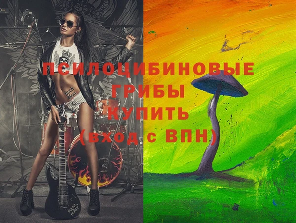 прущие грибы Алзамай