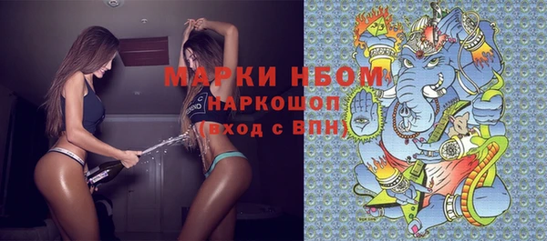 прущие грибы Алзамай