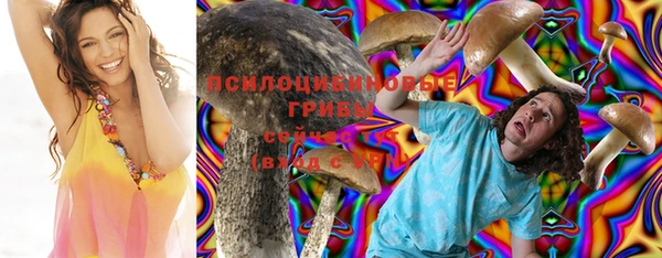 прущие грибы Алзамай