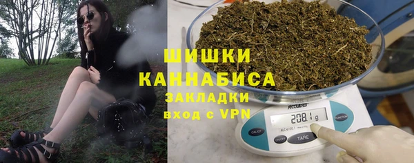 прущие грибы Алзамай