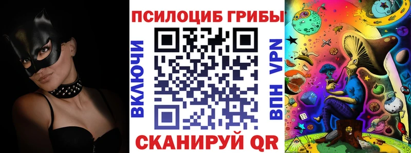 где можно купить   Руза  Галлюциногенные грибы прущие грибы 